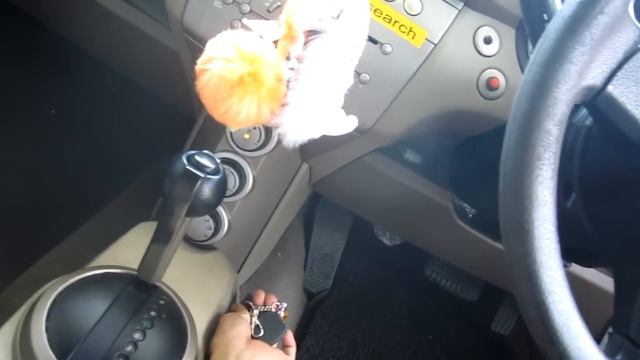 Car Scan Card Immobilizer A.G Brand смотреть онлайн