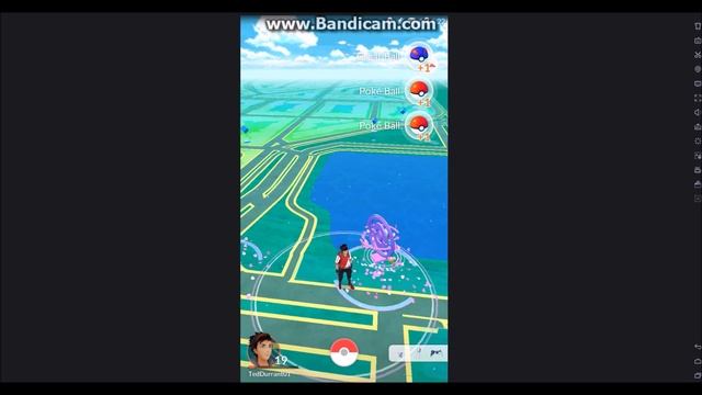 Pokemon Go: Magikarp Grind, Squirtle Nest, Mystery Evolution смотреть онлайн