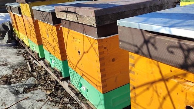 ПОКАЖУ НА ВСЯКИЙ СЛУЧАЙ (про синиц) смотреть онлайн