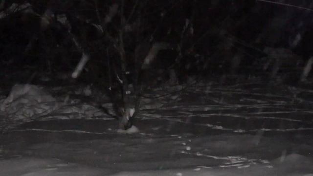 Relaxing snowfall at night with different shapes of snowflakes-Minnesota USA смотреть онлайн