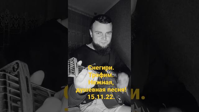 снегири. Трофим. смотреть онлайн