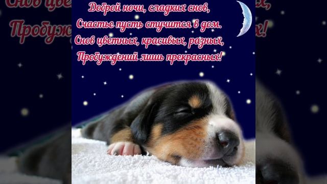 Спокойной ночи ? Приятных и нежных снов ??? Спокойного и приятного сна ? смотреть онлайн
