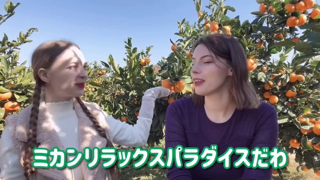 中国と日本のレベル違う。和歌山県の農家の嫁に嫁ぐロシア人バレリーナが中国の現実語る。労働環境地獄すぎて2回過労で入院した。日本に来てから激変 смотреть онлайн