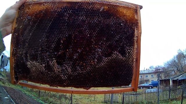 Чёрные соты. Переплавить или утилизировать? смотреть онлайн