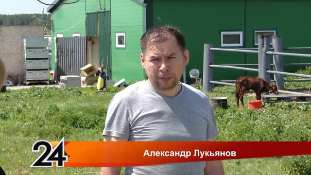 Пестрецы ТВ, 04.06.24,Комментарий Рамиса Габрахманова ОНД и ПРо пожаре в Кзыл-Яшьляр смотреть онлайн
