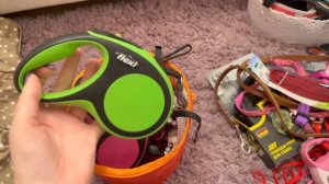 Вся амуниция моей собаки // Tre Ponti, Flexi, Rogz, TRIOL, Trixi