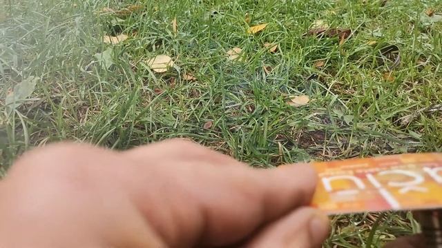 Maxima карта в литве смотреть онлайн