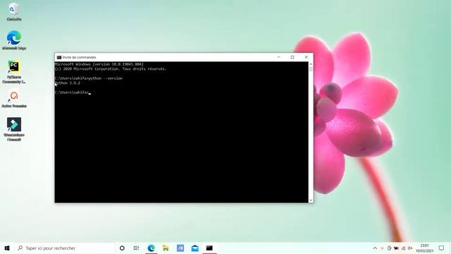 CHECK VERSION OF PYTHON: for beginners смотреть онлайн