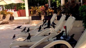 Здесь отдых для всех! И все включено! Luxury Bahia Principe Sian Ka’an. Mexico.