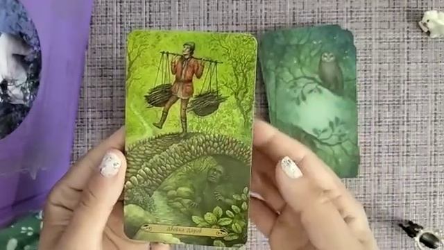 Таро Зачарованного леса /Forest of Enchantment Tarot/. Обзор колоды смотреть онлайн