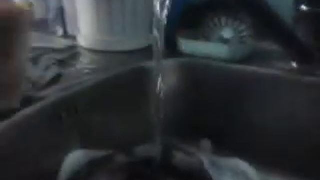 Кот и Печень смотреть онлайн
