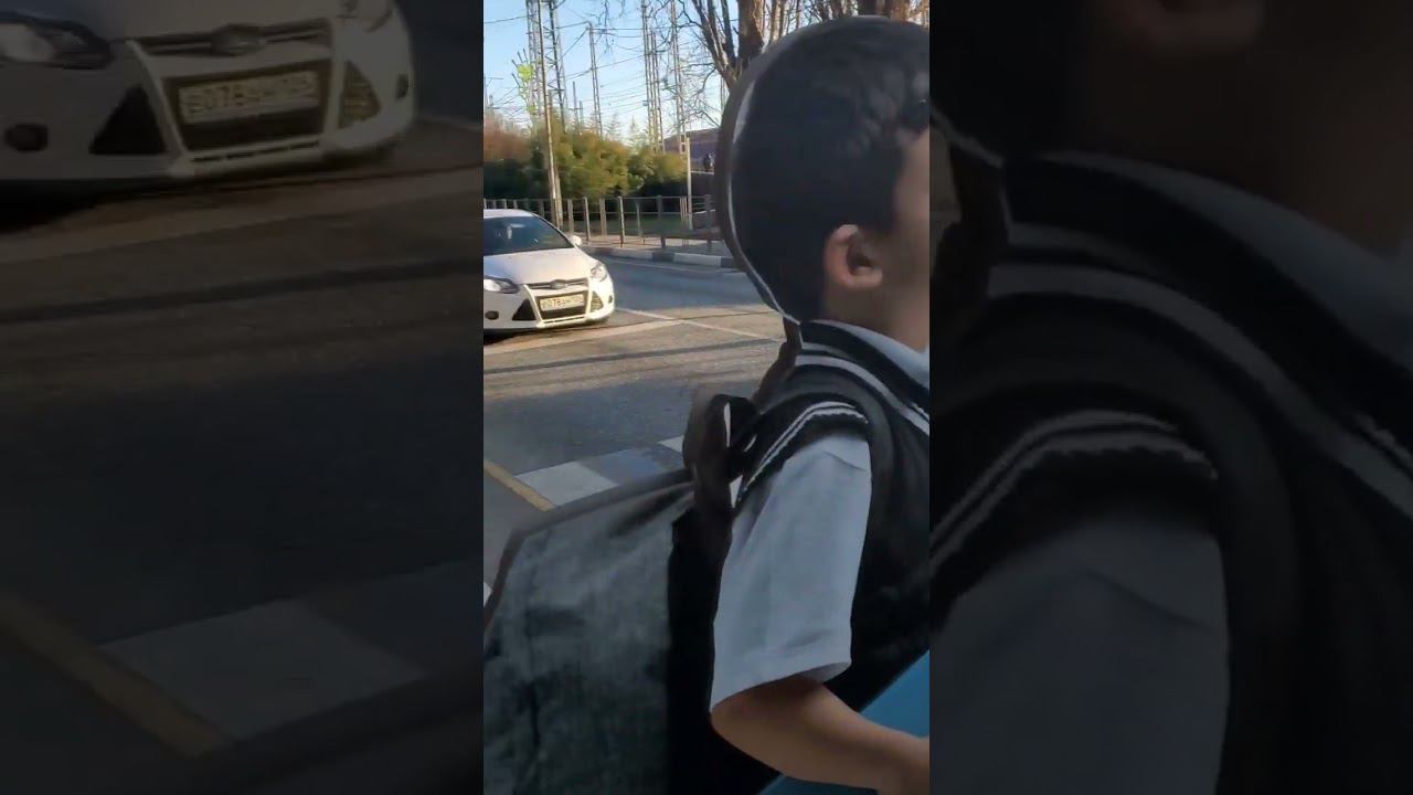 Необычные дорожные знаки в Лазаревском. Фальшивые дети #новостилазаревское #лазаревское #сочи смотреть онлайн