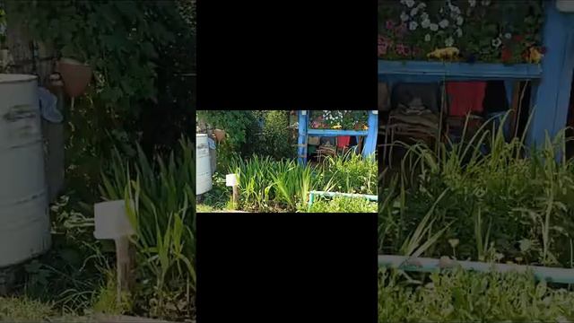 Это видео-сборка из деталей видео и фото на даче. смотреть онлайн