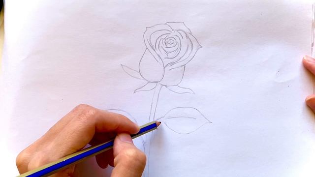 Рисуй розу ?для детей и взрослых самый легкий рисунок rose flower смотреть онлайн