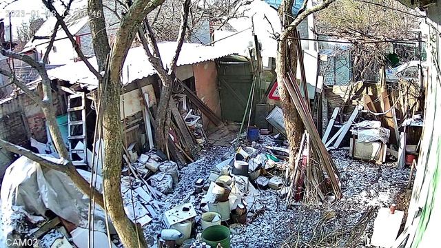 08.01.23г. 13:04ч. Стрелок завёлся по стёклам ул.Комсомольская 39, г.Белгород (догадки кто это есть смотреть онлайн