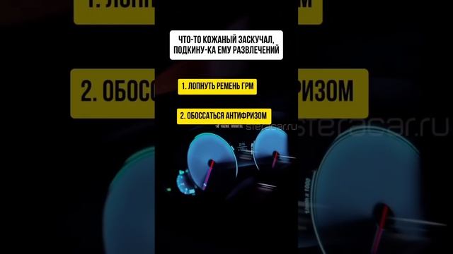 Что то кожаный заскучал, подкину ка ему развлечений #авто #водитель #водители #бмв #ремонт #сервис