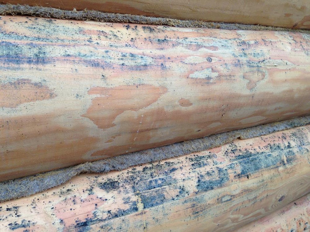 ПЛЕСЕНЬ В БАНЕ # КАК УБРАТЬ# СОВЕТ ДРУГА#