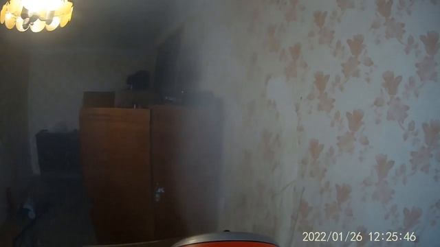 Как избавиться от тараканов и клопов? Уничтожение клопов и тараканов холодным туманом. смотреть онлайн