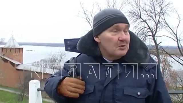 Дикая лиса поселилась в Нижегородском кремле и играет с воронами смотреть онлайн