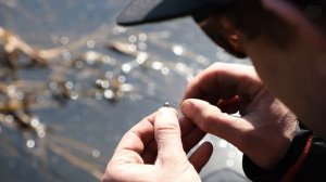 Секреты ловли леща на боковой кивок с Сергеем Янтаровым! Огромные лещи обрывают мормышки!