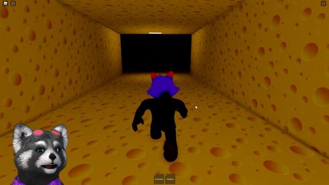 ? СУМАСШЕДШАЯ КРЫСА ОХОТИТСЯ за МНОЙ в Роблокс Cheese Escape in ROBLOX ЕНОТИК СТИВ смотреть онлайн
