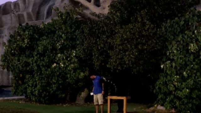 EMIRATES PARK ZOO | EMIRATES PARK ZOO AND RESORT | MUST VISIT PLACE HERE IN Abudhabi | SEALION SHOW смотреть онлайн