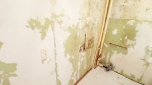 Бюджетный ремонт кухни/ Ремонт от А до Я