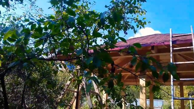 Биседка смотреть онлайн