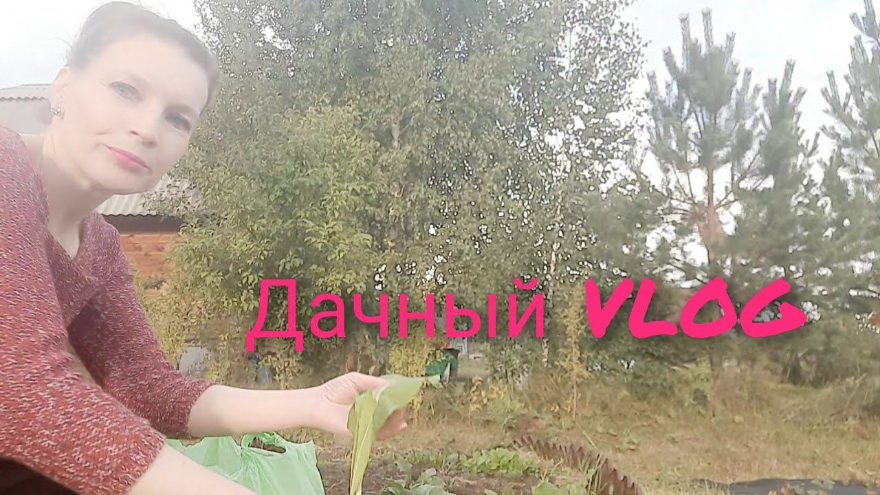 Архивный VLOG Лето 2023. Какой в итоге урожай. Планы на 2024 год.