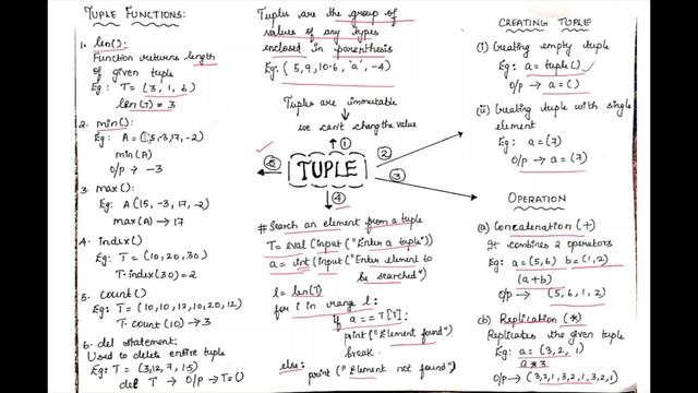 Class 12 Computer Science Tuple in Python смотреть онлайн