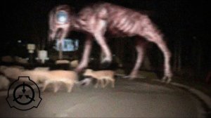 Большой Чарли, SCP-4158, Лэмб, Наггет