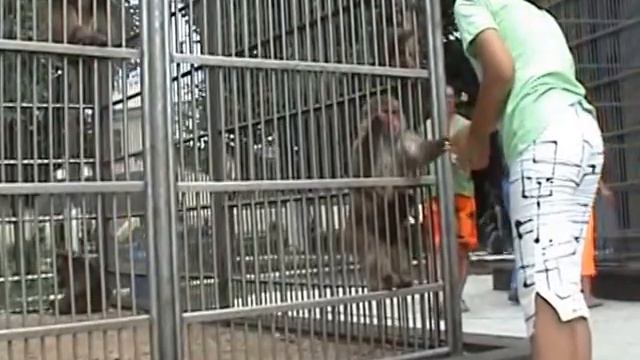 За решеткой на пожизненный срок. За что им такое? смотреть онлайн