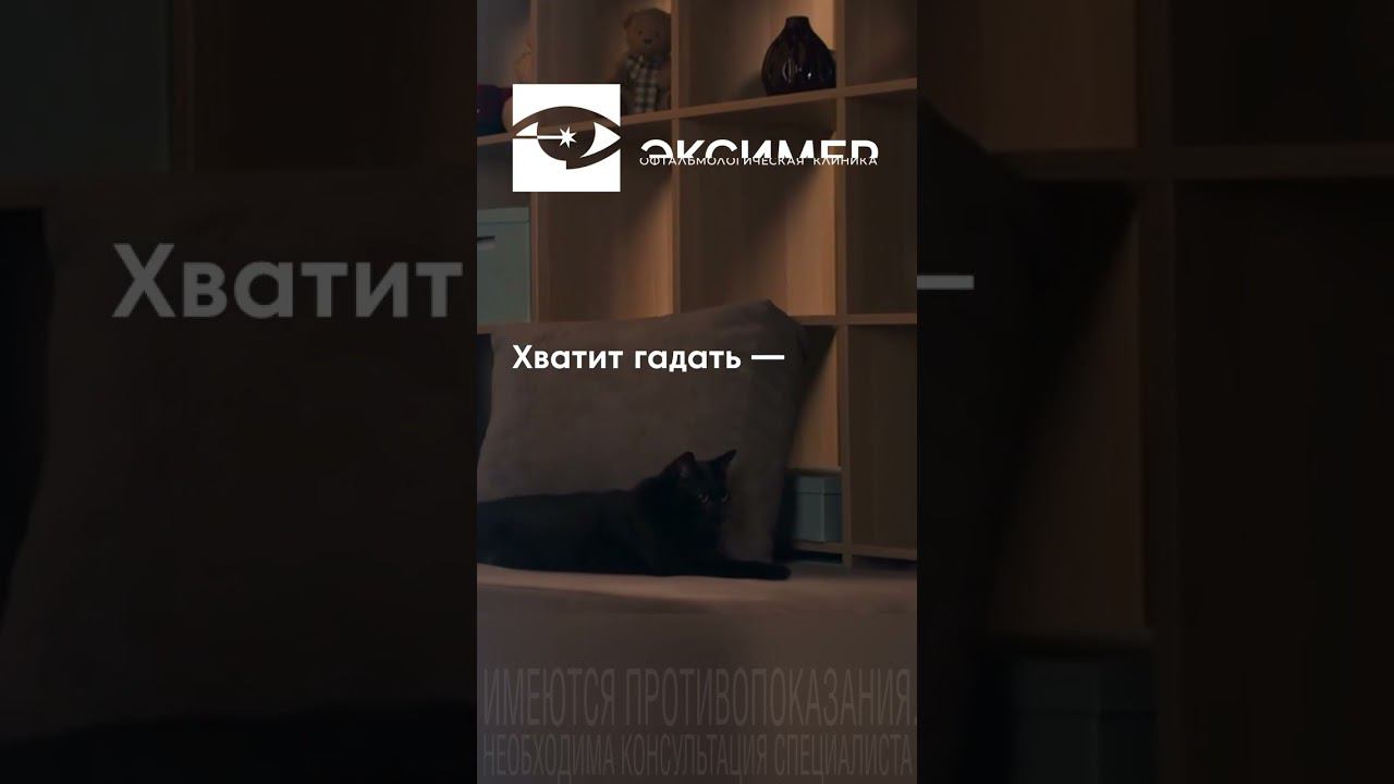 Когда не можешь понять - кошка или пакет? #зрение #юмор #shorts смотреть онлайн