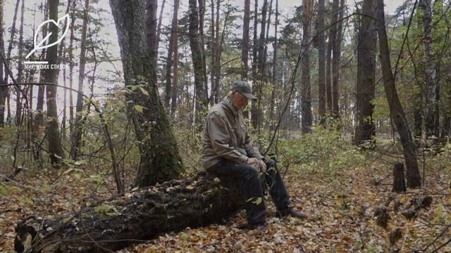 Встреча с осенью/стихи о прелестях осени, о тревогах и грусти этой порой/ смотреть онлайн