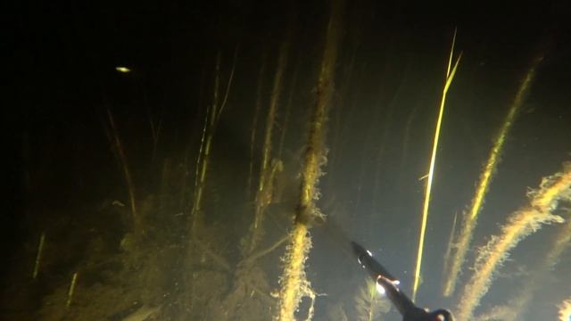 подводная охота подмосковье осенние водохранилища ночью смотреть онлайн