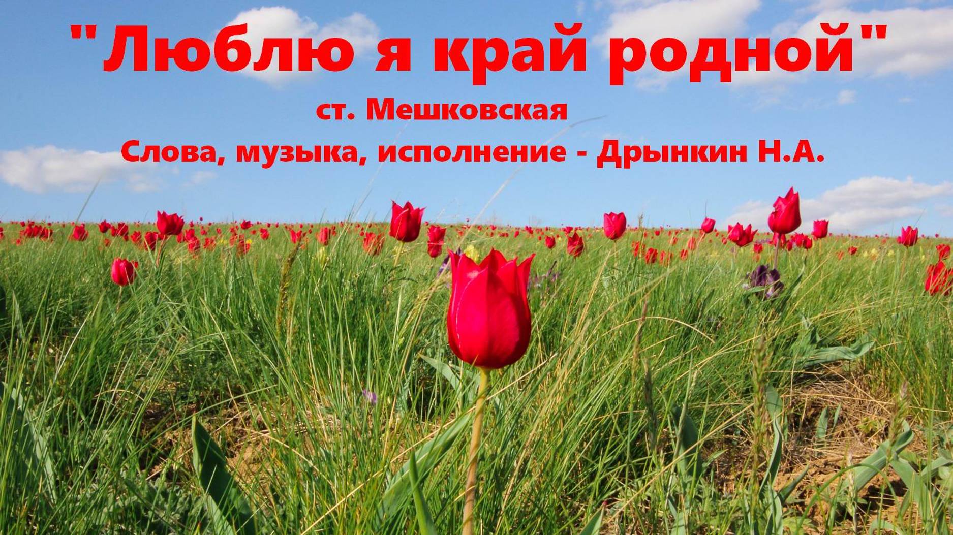 Люблю я край родной.  ст. Мешковская.