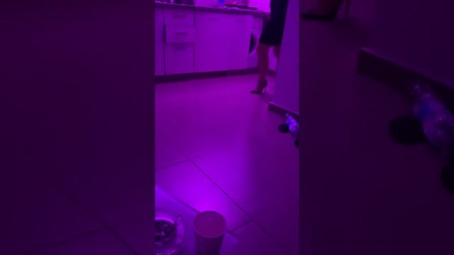 Кот танцует «Чёрные глаза» смотреть онлайн