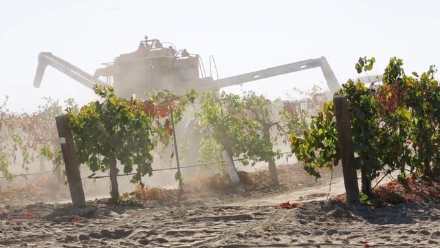 Happy National Chocolate Covered Raisin Day | March 24 | How Raisins Are Made смотреть онлайн