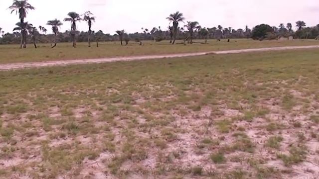 Royal Flourish Park,Eluju, Bogije @N5M/plot смотреть онлайн