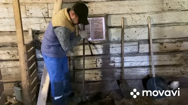 Стойло для КОРОВЫ за 3260 руб. Уснул под коровой! смотреть онлайн