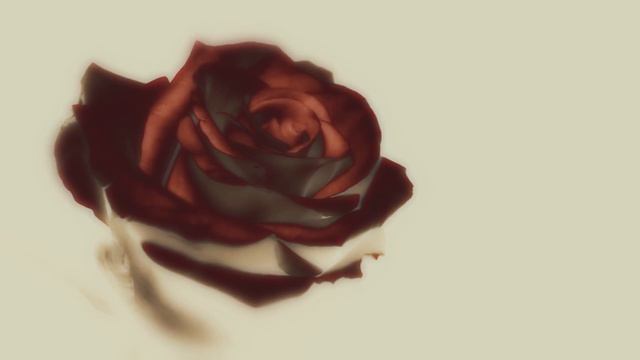 Evgeny Grinko - Valse