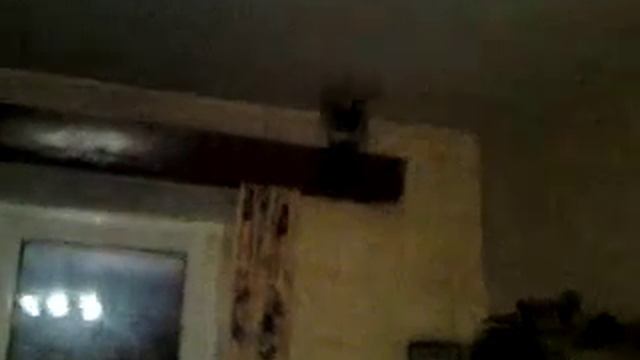 Хочу освоить голубиный язык смотреть онлайн