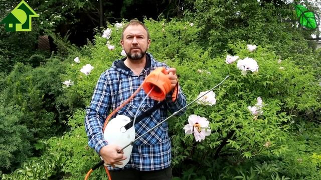 СПАСЕНИЕ ЗЕМЛЯНИКИ ОТ ДОЛГОНОСИКА и МОХНАТОЙ ОЛЕНКИ! Брызгайте прямо по цветкам! Дешевое средство! смотреть онлайн
