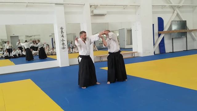 Новиков Иван Анатольевич 6 дан Айкидо Айкикай смотреть онлайн