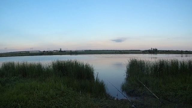 Рыбалка на Лысогорке 2021. Ловля толстолоба на технопланктон. Ловля сазана на макушатники. смотреть онлайн