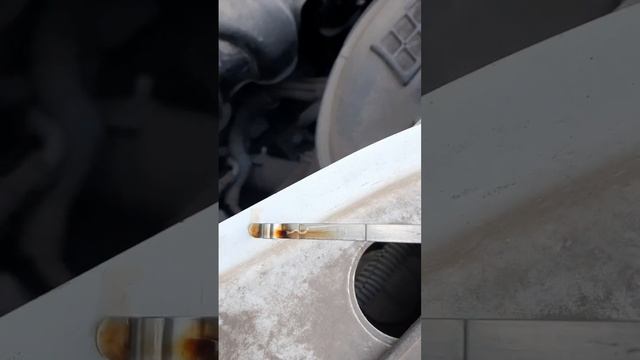 ???ВМПАВТО 5w-40 в HR16DE/H4M??