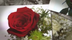 С Днём Рождения, Мане!