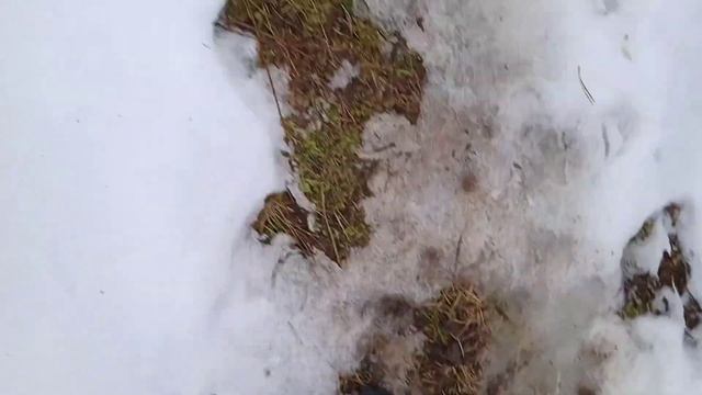 Гора Кирель. Белорецкий район. смотреть онлайн