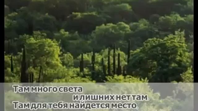 В дизайне Божьем! Новый Иерусалим смотреть онлайн