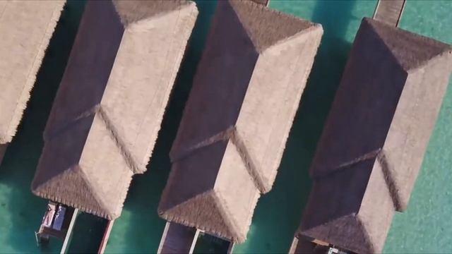 Остров Фуравери на Мальдивах. FURAVERI ISLAND RESORT на атолле Раа. смотреть онлайн